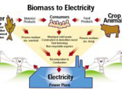 Biomass Energy in Canada