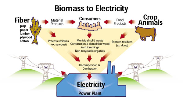 biomass to electricity
