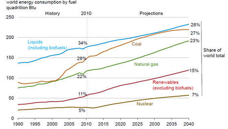 wood energy fuel in the future