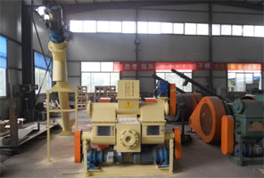 Briquette line with screw conveyor