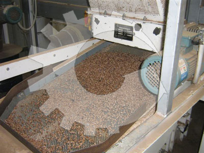Cooler and Sifter for pellet