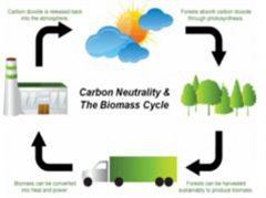 Benefits and Disadvantages of Using Biomass Energy