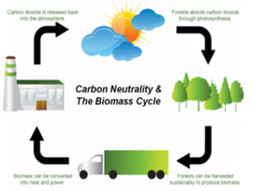 biomass energy