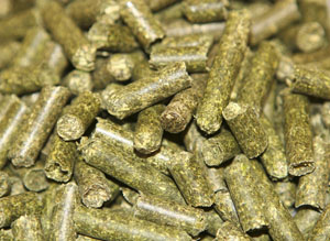 hay pellets hay pellets