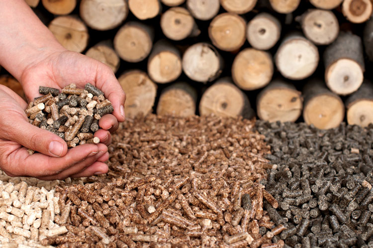 biomass pellet fuel