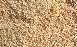 sawdust shavings