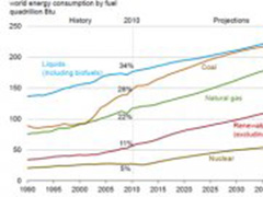 Biomass Energy's Market in the Future