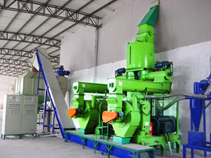 wood pellet mill in complete line